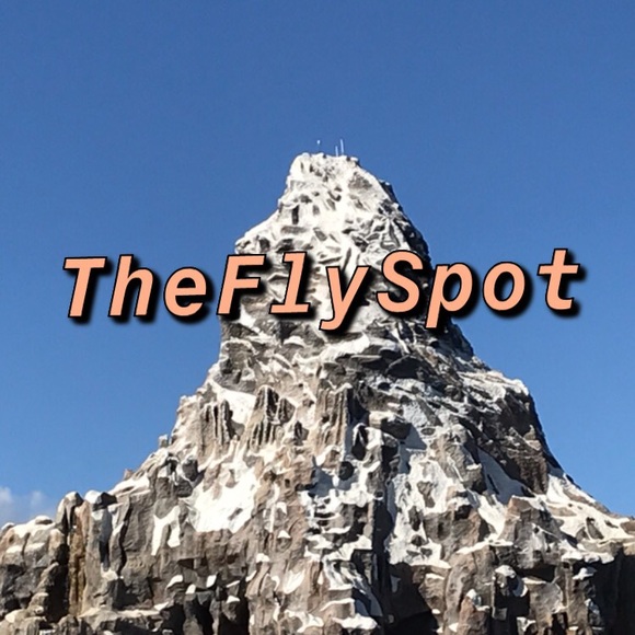 theflyspot
